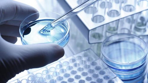 上海生物医药基金总裁刘大伟 行业遇冷,但投资基本逻辑没变