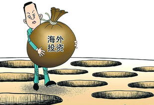 美国投资移民风险防控如何做