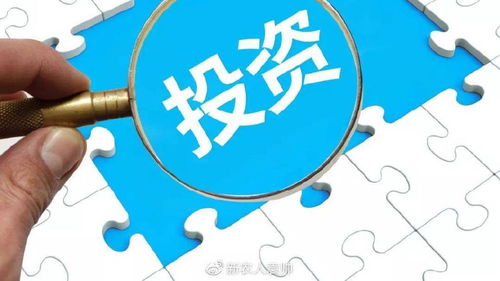 投资