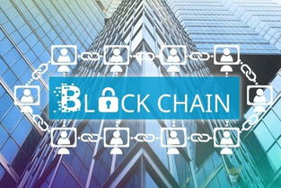 ibm成立区块链投资基金 帮被投公司牵线财富500强