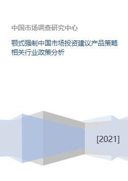 颚式强制中国市场的投资策略与政策环境分析